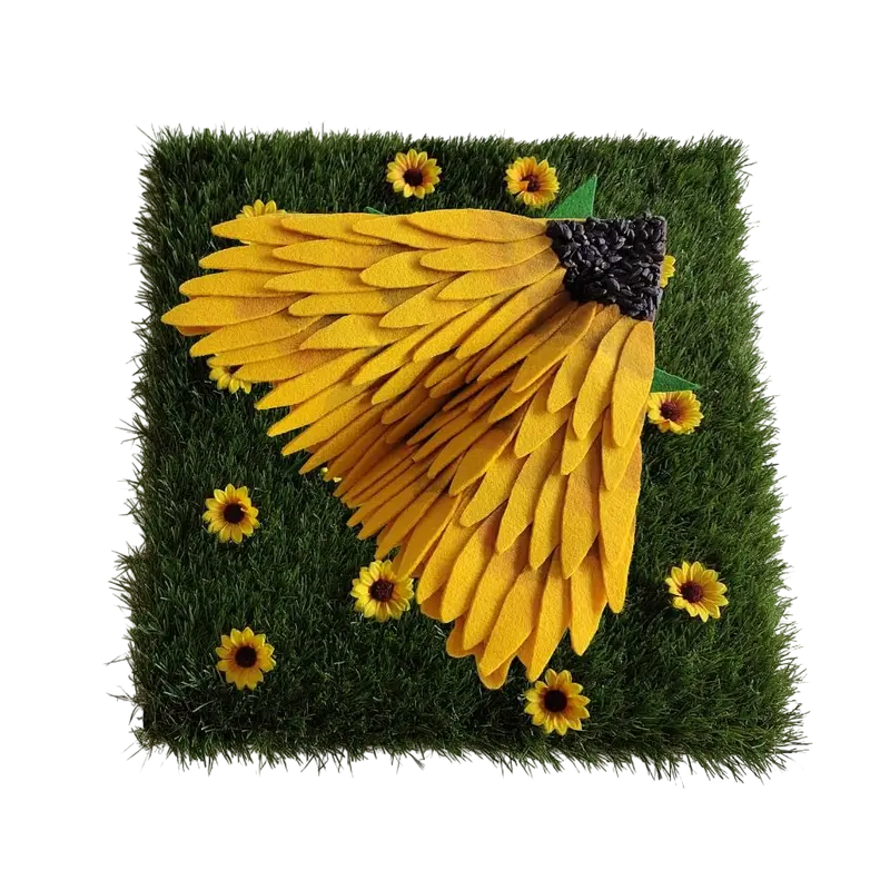 Sonnenblume
